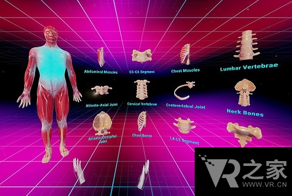 解剖就是這么簡單 學(xué)習(xí)用VR應(yīng)用正在開發(fā)中