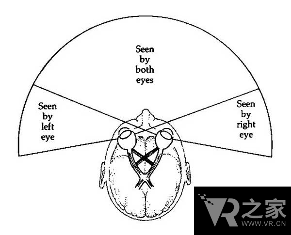 雙目重疊對于VR視覺究竟意味著什么？