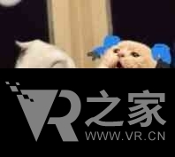 放開那只喵星人！《做貓VR》激萌又鬼畜