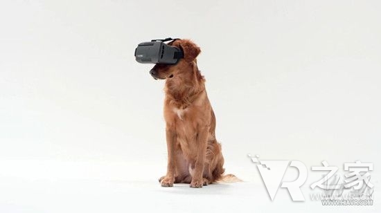 狂犬疫苗造假的今日，VR能夠做些什么？