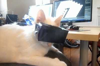 人不如貓！連貓都開始玩VR了