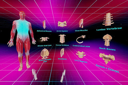 解剖就是這么簡單 學習用VR應用正在開發(fā)中