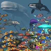 海洋水族館（VR Ocean Aquarium 3D）