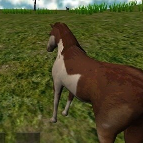 馬VR（VR Horse）