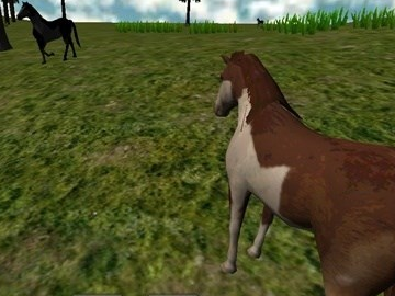馬VR（VR Horse）