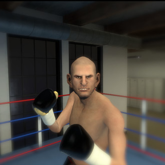 戰(zhàn)斗的快感（The Thrill of the Fight - VR Boxing）